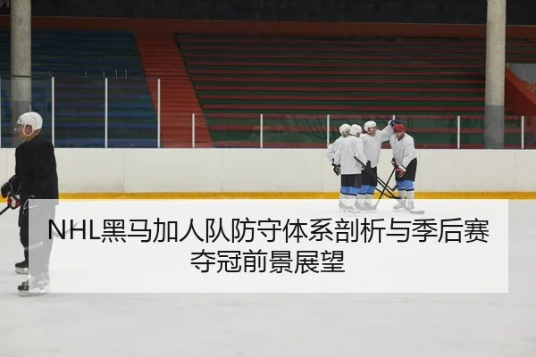 hei-ma-jia-ren-dui-fang-shou-ti-xi-pou-xi-yu-ji-hou-sai-duo-guan-qian-jing-zhan-wang-2-617.jpg